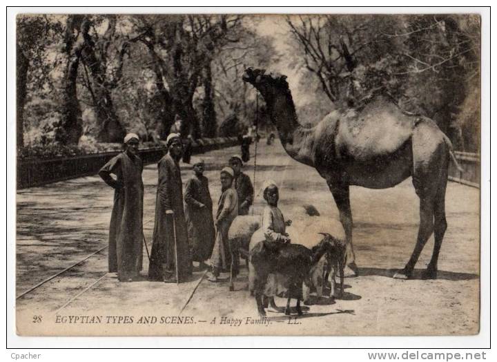 EGYPTIAN TYPES AND SCENES - Famille Arabe - Otros & Sin Clasificación