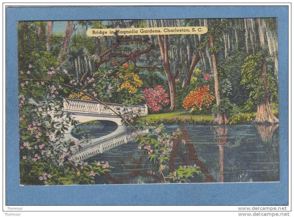 CHARLESTON  -  Bridge  In  Magnolia  Gardens  -  1955  -  BELLE CARTE  - - Charleston