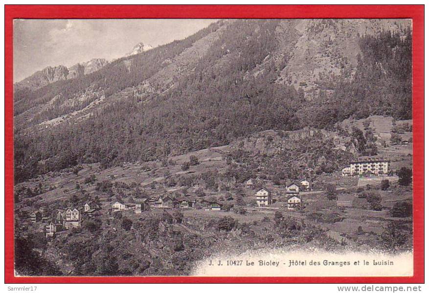 LE BIOLEY, HOTEL DES GRANGES ET LE LUISIN - Granges