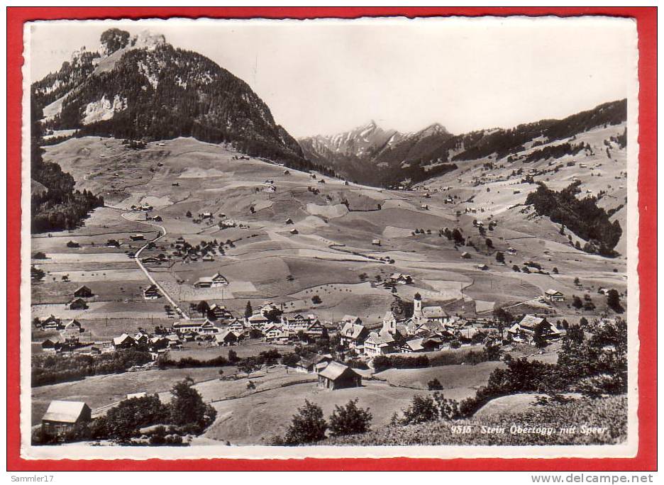 STEIN, OBERTOGGENBURG, GROSSFORMAT - Stein