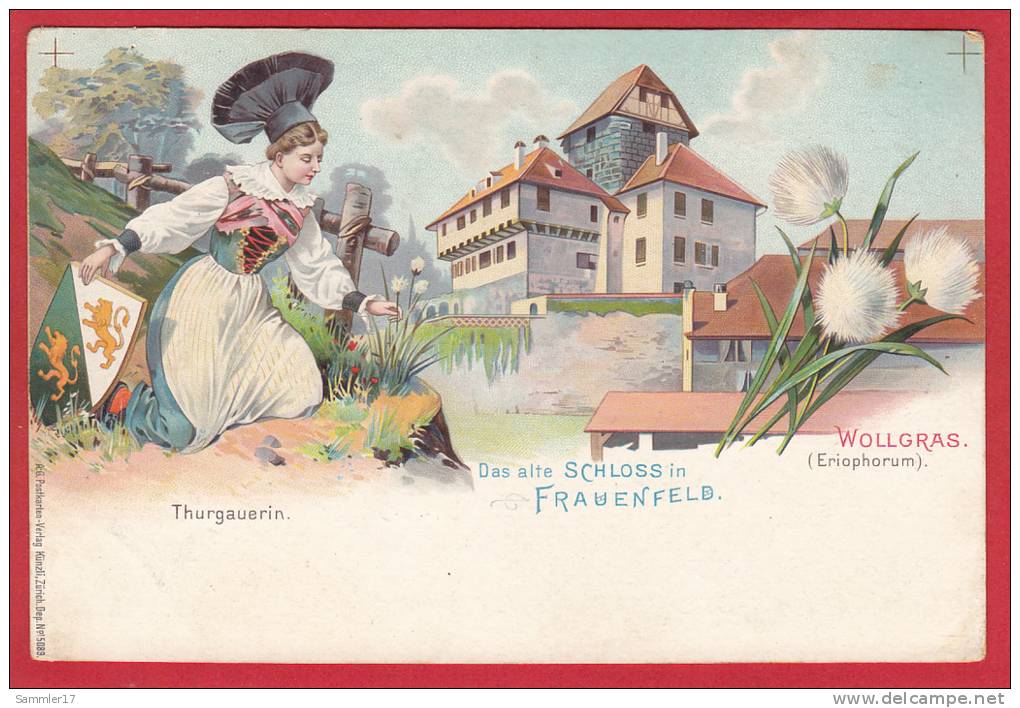 SCHLOSS FRAUENFELD TRACHT, WAPPEN, WOLLGRAS, LITHO - Frauenfeld