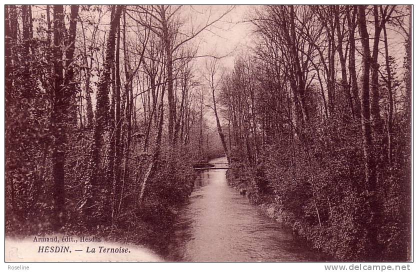 62  HESDIN    PAS DE CALAIS  - TERNOISE -   CPSM   SEPIA  9x14 TBE - Hesdin