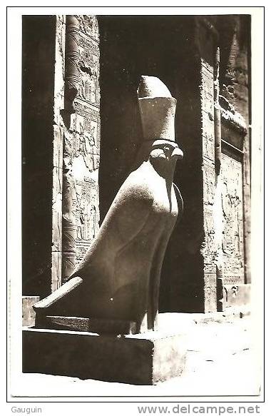 CPA - EDFU - THE SACRED HAWK OF HORUS - Edition ? - Edfou