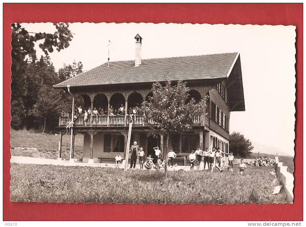 X0299 Le Pâquier-Montbarry Chalet Bois-Riand,Colonie De Vacances De Neuchâtel.TRES ANIME.Cachet 1958.Glasson 7051 - Le Pâquier