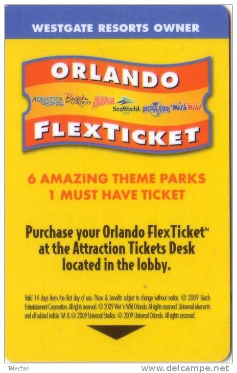 USA CARTE CLE KEY PARC ATTRACTIONS AMAZING THEME PARKS ORLANDO RARE - Schede Magnetiche