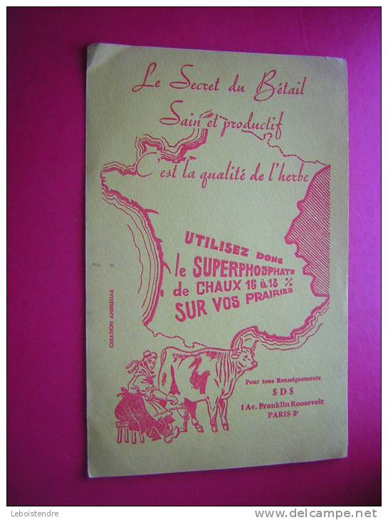 BUVARD-LE SECRET DU BETAIL SAIN ET PRODUCTIF EST LA QUALITE DE L'HERBE-UTILISEZ DONC LE SURPERPHOSPHATE DE CHAUX 16 A 18 - Agriculture