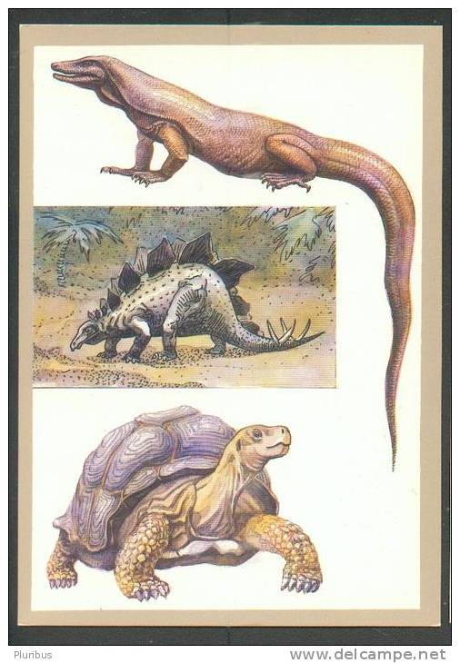 RUSSIA USSR, TURTLE , DINOSAUR , KOMODO DRAGON, MONITOR , OLD CARD 1983 - Schildkröten