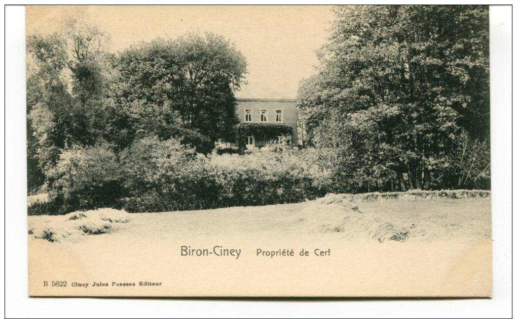 Ancienne Cp " Biron-Ciney, Propriété De Cerf"  Cp Non Voyagée - Ciney