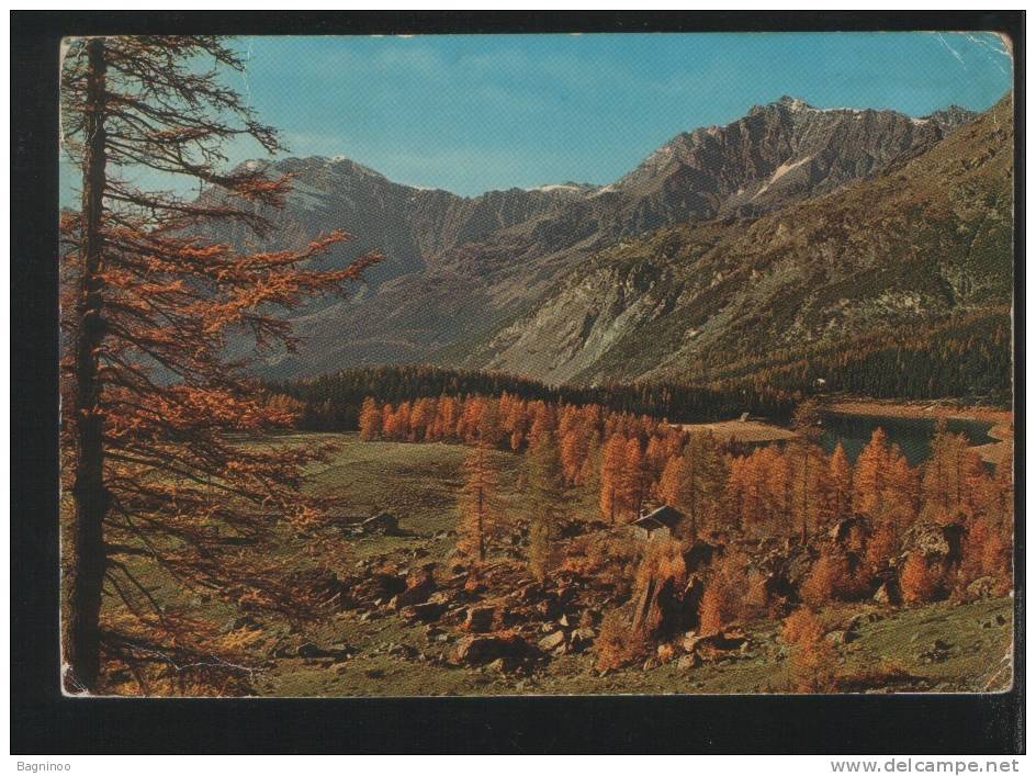 SLOVENIA Postcard LOGARSKA DOLINA - Slovenia