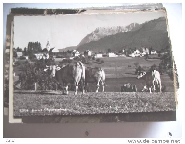 Zwitserland Schweiz Switserland Suisse Helvetia LU Schwarzenberg Vache - Schwarzenberg