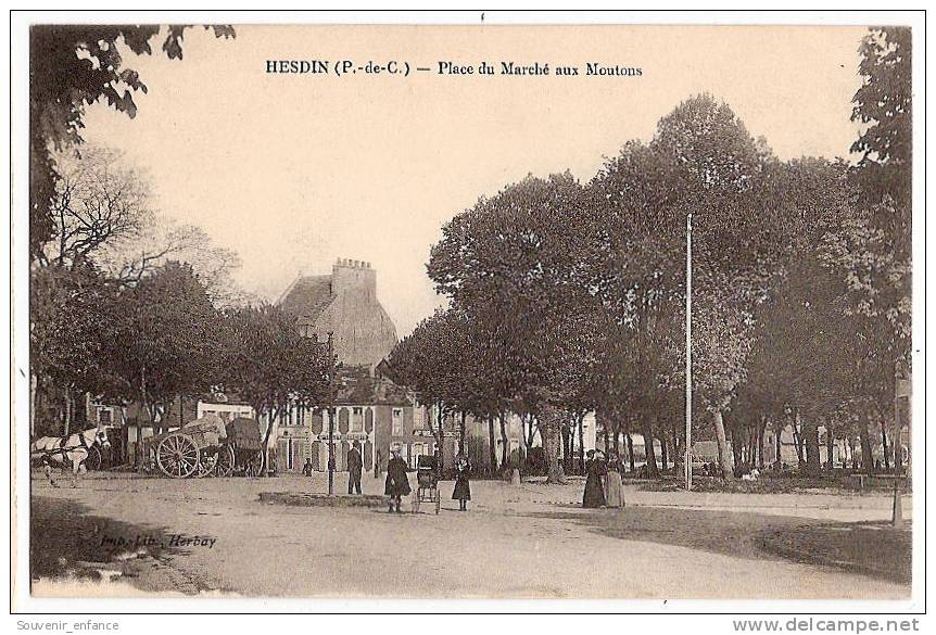 CPA Hesdin Place Du Marché Aux Moutons 62 Pas De Calais - Hesdin