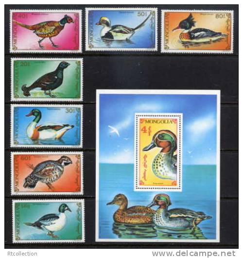 Mongolia 1991 Ducks Duck Birds Bird Animal Animals Fauna Anas Crecca MNH Michel 2260-2266 2267 Bl.166 Mongolia 1965-1972 - Canards