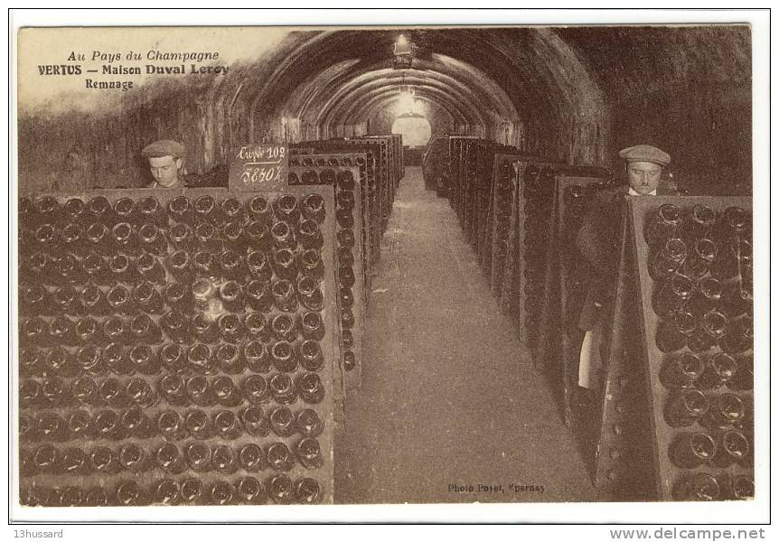 Carte Postale Ancienne Champagne -Vertus. Maison Duval Leroy. Remuage - Boissons, Alcool - Vertus