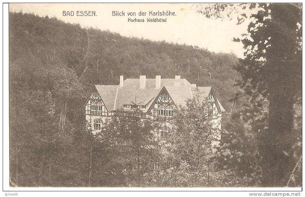 BAD ESSEN-Blick Von Der Karlhohe-kurhaus Waldhotel - Bad Essen