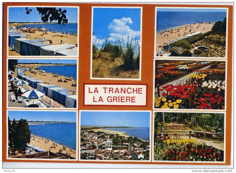 LA  TRANCHE Sur Mer--LA  GRIERE---Vues Diverses  ,cpm N° 3368  éd  Belles éditions De Vendée - La Tranche Sur Mer