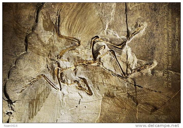 (NZ10-039  )   Archaeopteryx   Fossils  , Postal Stationery-Postsache F - Fossilien