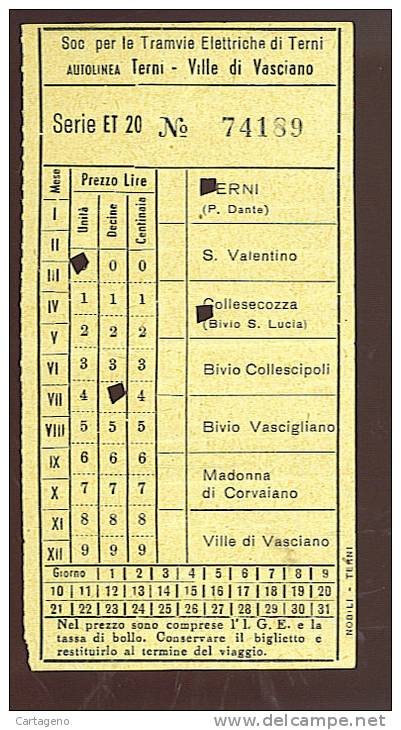 Terni-ville Di Vasciano-collescipoli Bivio-collesecozza Biglietto Autolinea Anni 50/60 - Europa