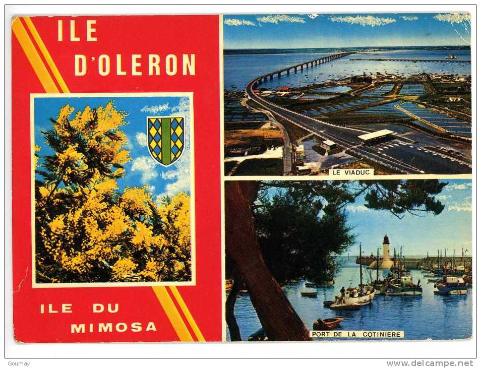 ILE D´OLERON Multivues Aérienne - PORT DE LA COTINIERE - VIADUC - MIMOSA - Ile D'Oléron