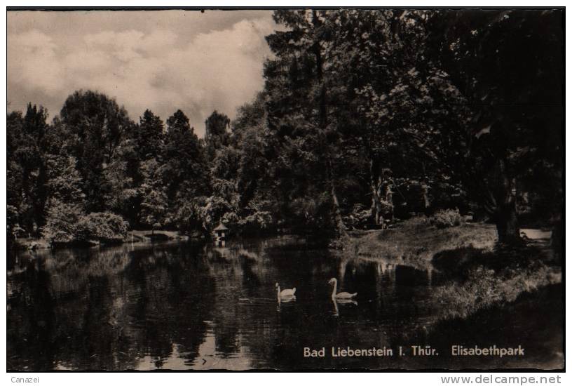 AK Bad Liebenstein/Thüringen, Elisabethpark, Um 1960 - Bad Liebenstein