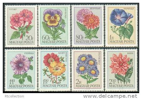 Magyar Hungary 1968 -  Garden Flowers Plants Plant Flower Nature Flora Stamps MNH Michel 2452-2459 Hungary 1926-1933 - Collections