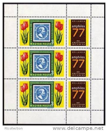 Magyar Posta Hungary 1977 Tulips Netherlands Amphilex '77 Amsterdam Philatelic Exhibition Flowers MNH Michel 3203A Klb - Unused Stamps