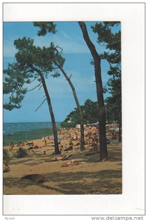 17 RONCE LES BAINS Plage De La Cepe - Autres & Non Classés