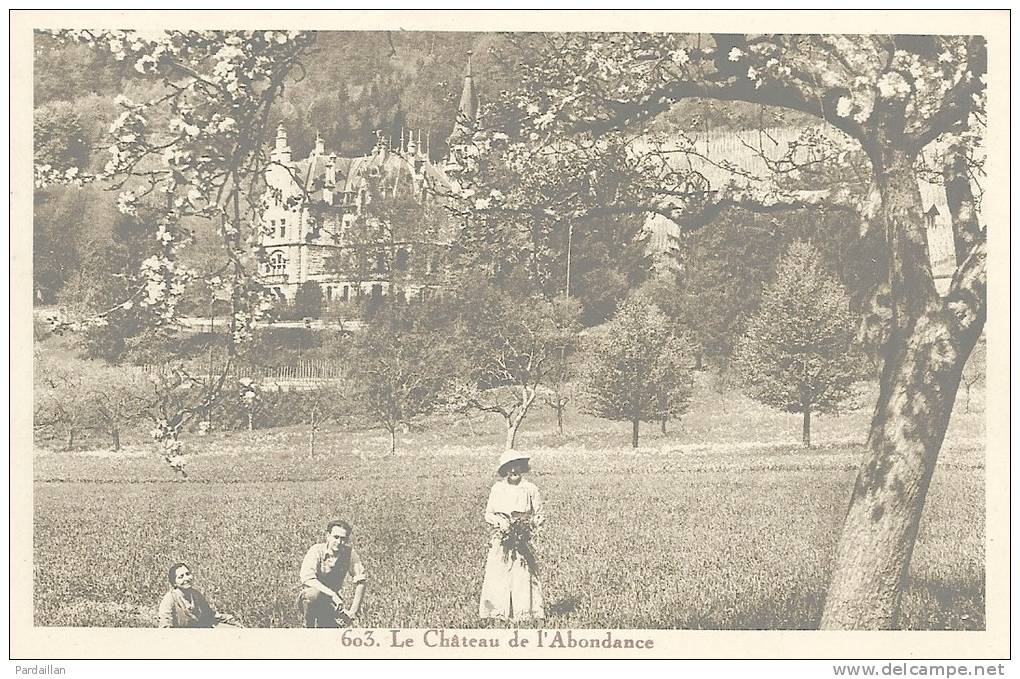 SUISSE.   LE CHÂTEAU DE CARTIGNY.  CHÂTEAU DE L'ABONDANCE.  ANIMATION. - Cartigny