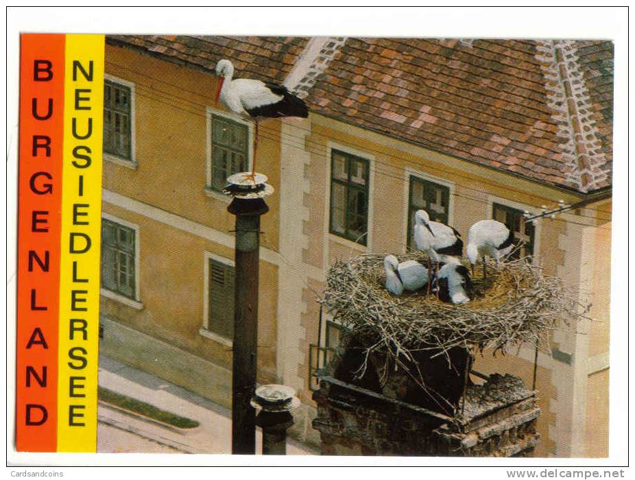 Neusiedlersee  - Storchenhorst - Sonstige & Ohne Zuordnung