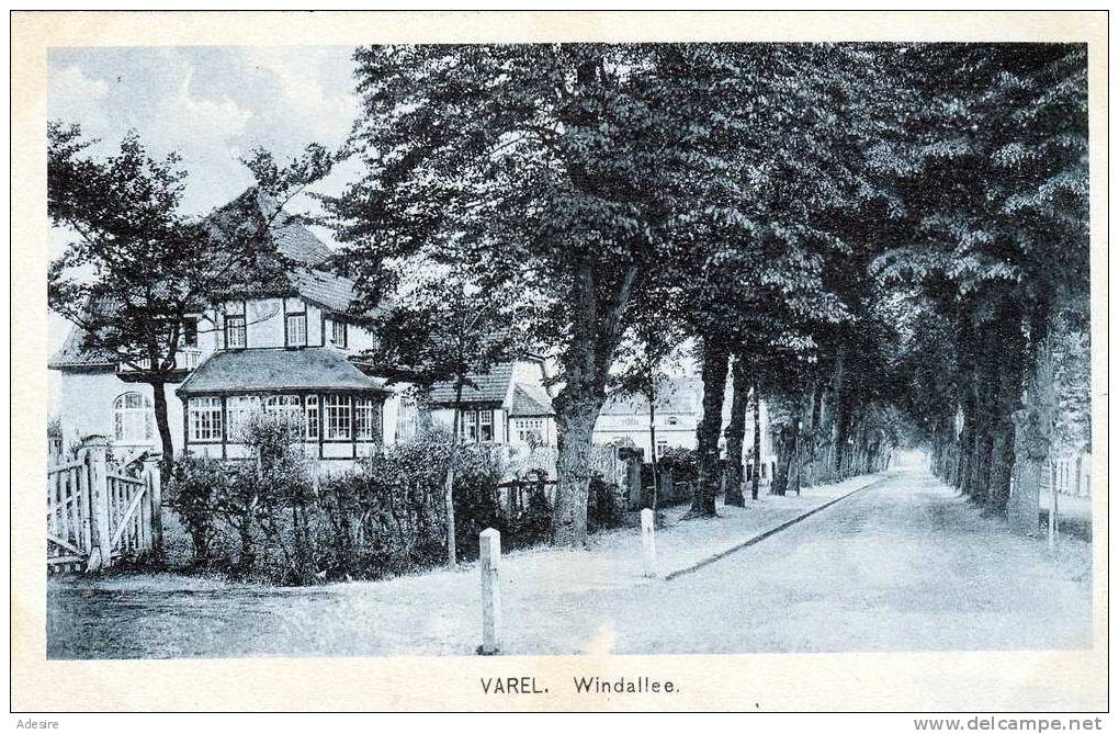 Niedersachsen - VAREL (Friesland), Windallee, Als Feldpost Gelaufen 1918, Sehr Gute Erhaltung - Varel