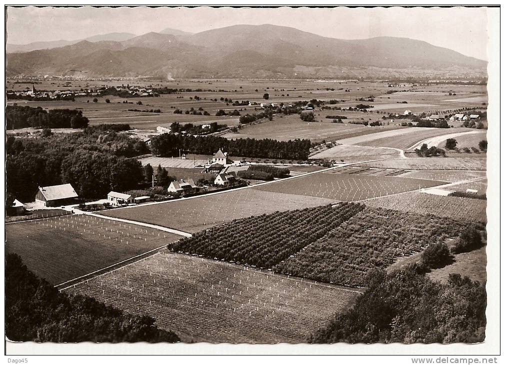 ASPACH-LE-BAS (Haut-Rhin) Station Agronomique Des Potasses D´Alsace EN AVION AU-DESSUS DE ... - Other & Unclassified