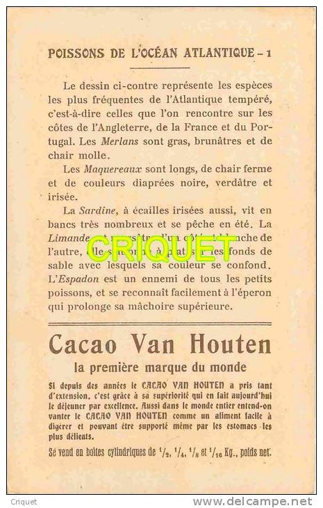 Grande Chromo Van Houten, Poissons De L'Océan Atlantique - Van Houten