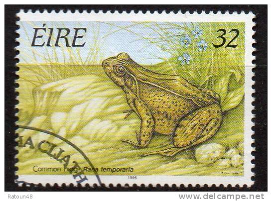 N°915 -oblitéré   - Grenouille   -Irlande - Kikkers