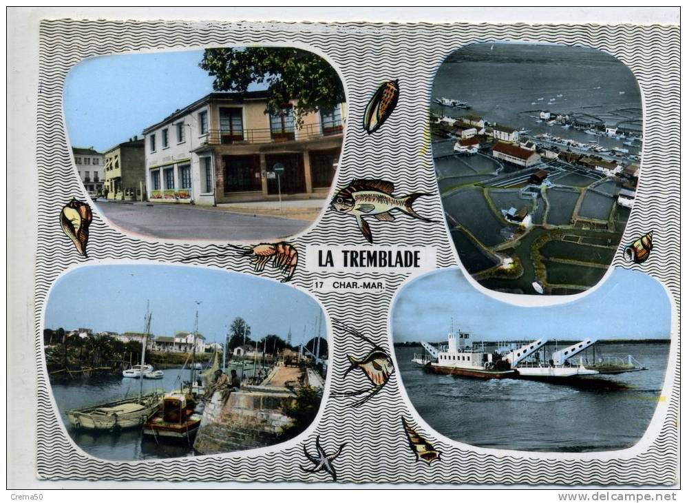 17 - LA TREMBLADE - Multi Vue - La Tremblade