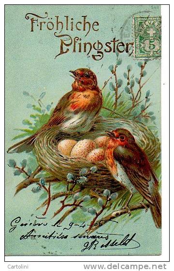 Pfingster Pinksteren Pentecote Vogels Oiseaux Birds Vogeln Nid Nest  Fantasie Fantaisie Fantasy Fantasia - Pinksteren