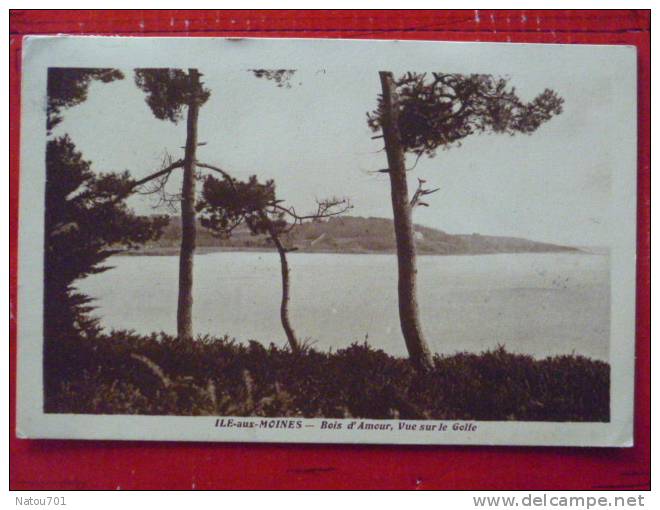 V7-56-morbihan-ile Aux Moines-bois D'amour Vue Sur Le Golfe-- - Ile Aux Moines