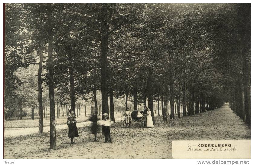 Koekelberg - Plateau - Le Parc Elisabeth ( Belle Animation ) -1910 - Koekelberg