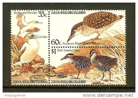 COCOS ISLANDS 1985 MNH Stamp(s) Birds 137-139 - Other & Unclassified