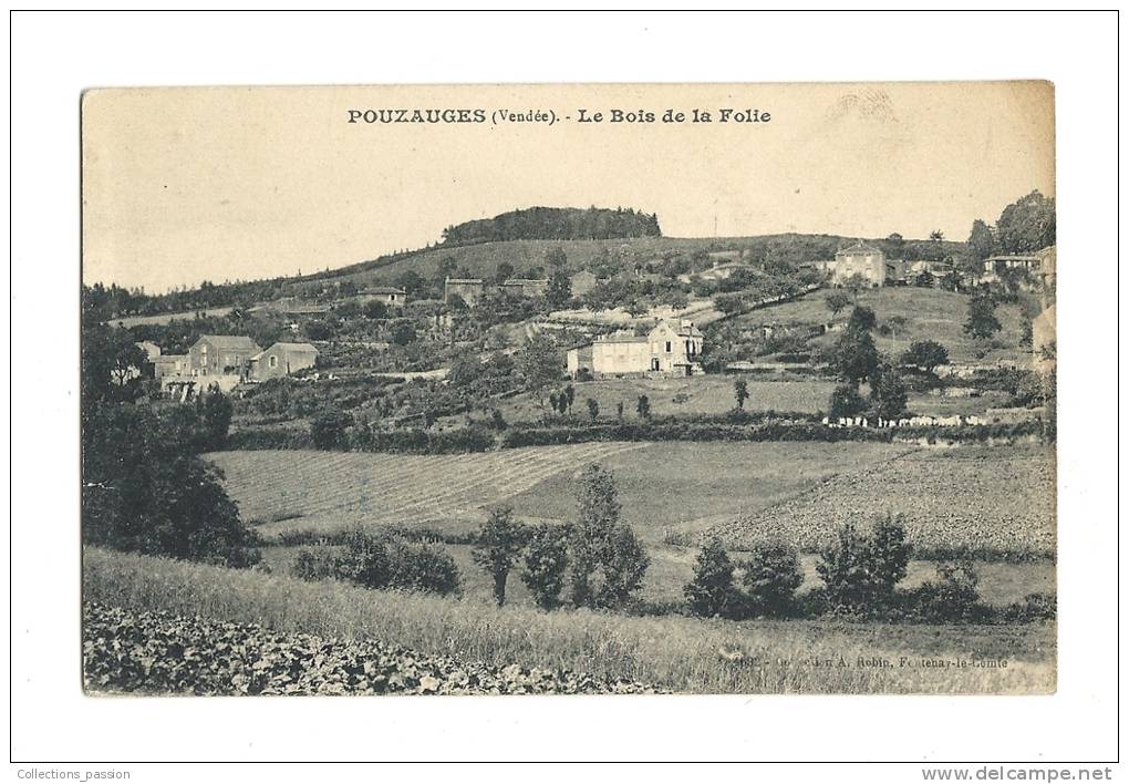 Cp, 85, Pouzauges, Le Bois De La Folie - Pouzauges