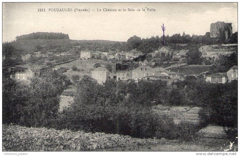 Cp , 85 , POUZAUGES , Le Château Et Le Bois De La FOLIE , écrite - Pouzauges
