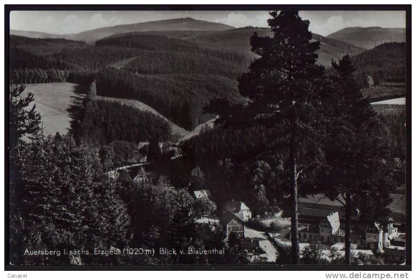 AK Auersberg, Blick Vom Blauenthal, Ungelaufen, Sehr Alt - Auersberg