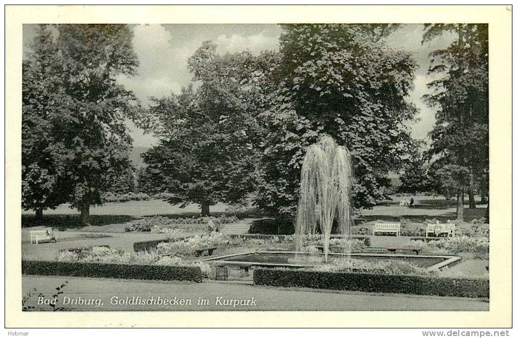 Germany Deutschland Bad Driburg Goldfischbecken Im Kurpark - Bad Driburg