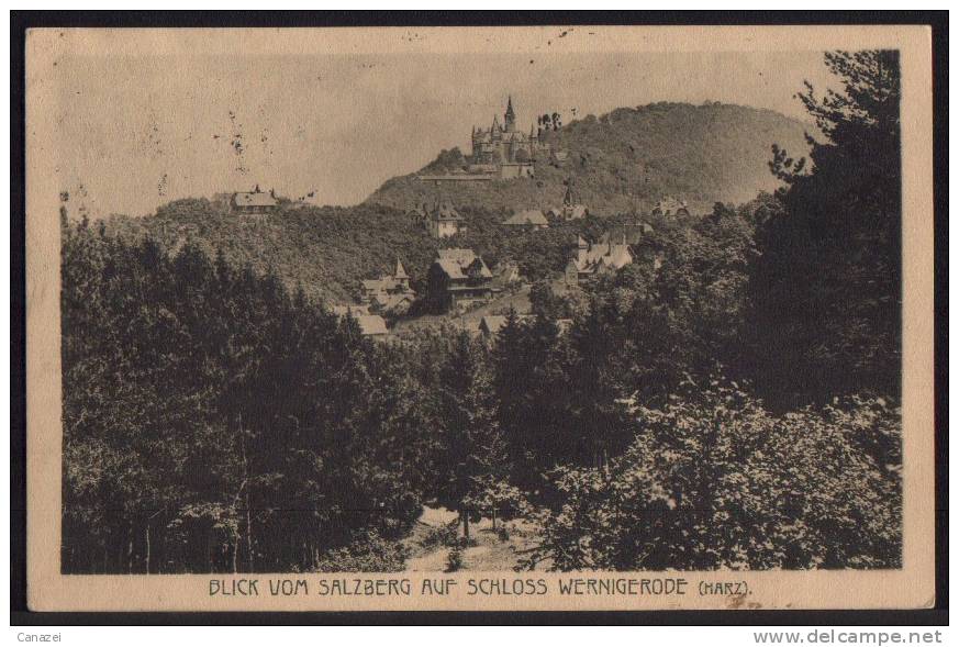 AK Schloß Wernigerode/Harz, Blick Vom Salzberg, Gelaufen Frankiert 1920 - Wernigerode