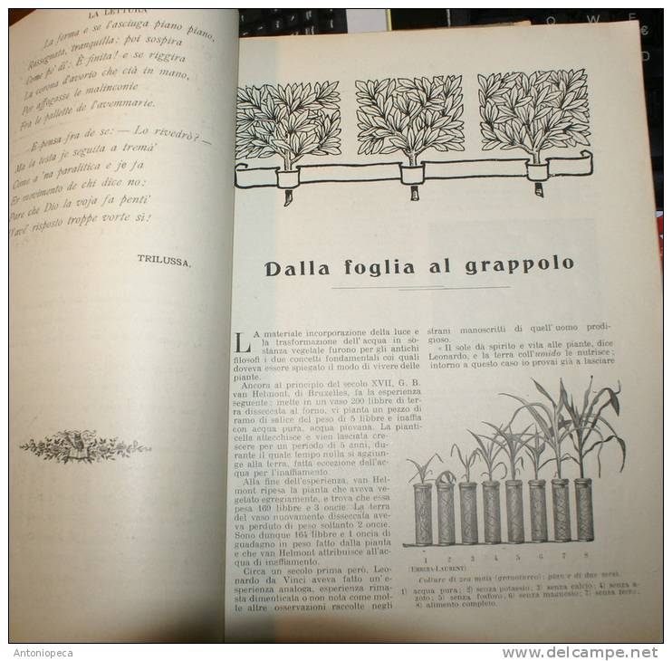 RIVISTA MENSILE DEL CORRIERE DELLA SERA  "LA LETTURA" - 8 NUMERI DEL 1903