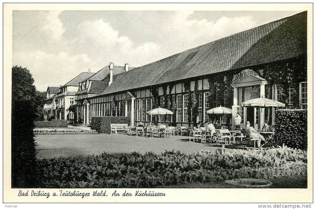 Germany Deutschland Bad Driburg A. TeiutoburgerWald.An Den Kuchausen - Bad Driburg