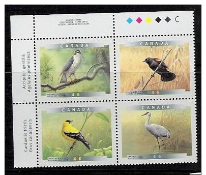 Birds.Oseaux. Canada.Block Of 4 - Altri & Non Classificati