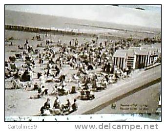 BELGIQUE KNOCKE SUR MER ALBERT PLAGE ANIME  N1935 DQ7352 - Knokke