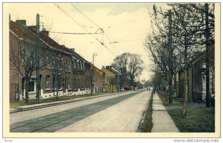 Pâturages - Avenue Fénelon ( Voir Verso ) - Colfontaine