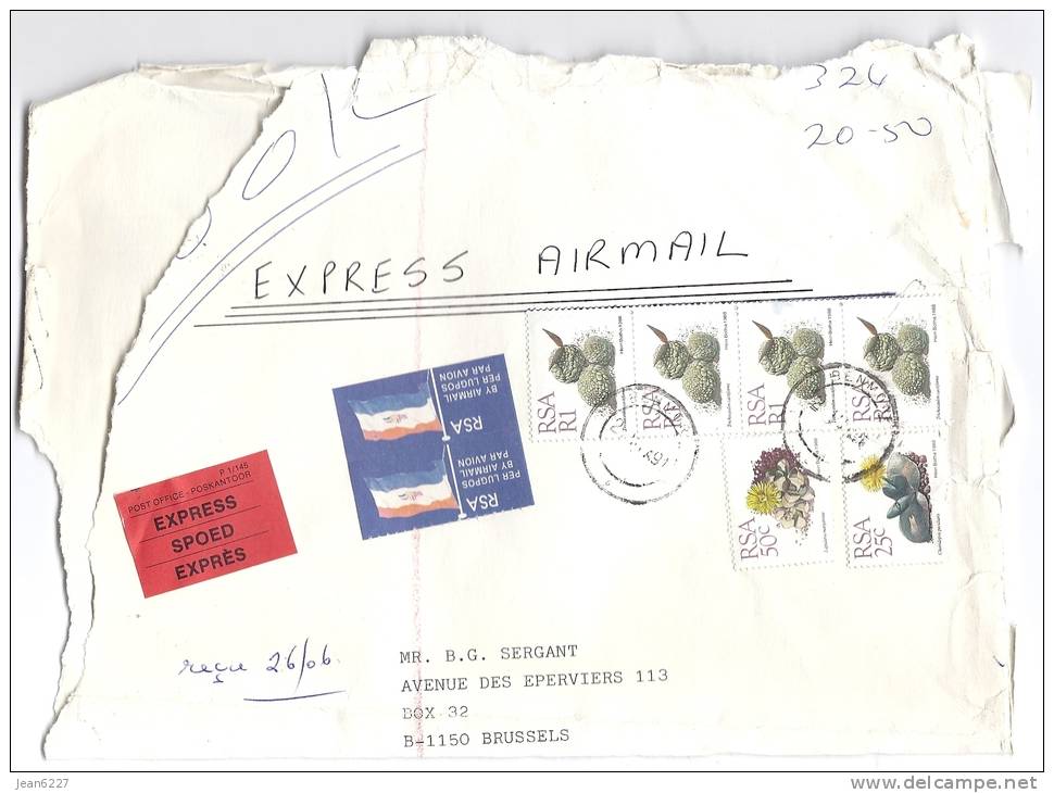 Part Of Envelop - South Africa - Express - Air Mail - Various Stamps - Cartas & Documentos