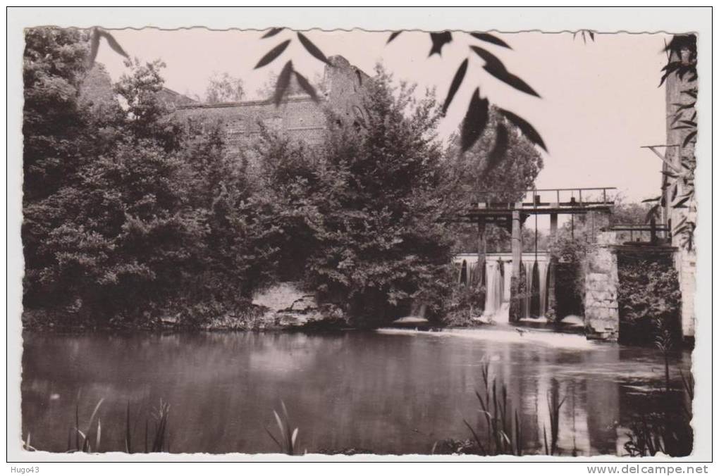 MARCOING EN 1955 - CHUTE DU MOULIN - Marcoing