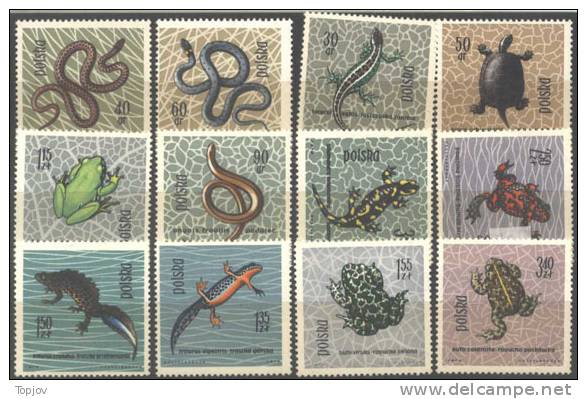 POLEN - POLSKA - Frogs, Turtles, Amphibians - 1963 - **MNH - Tortues